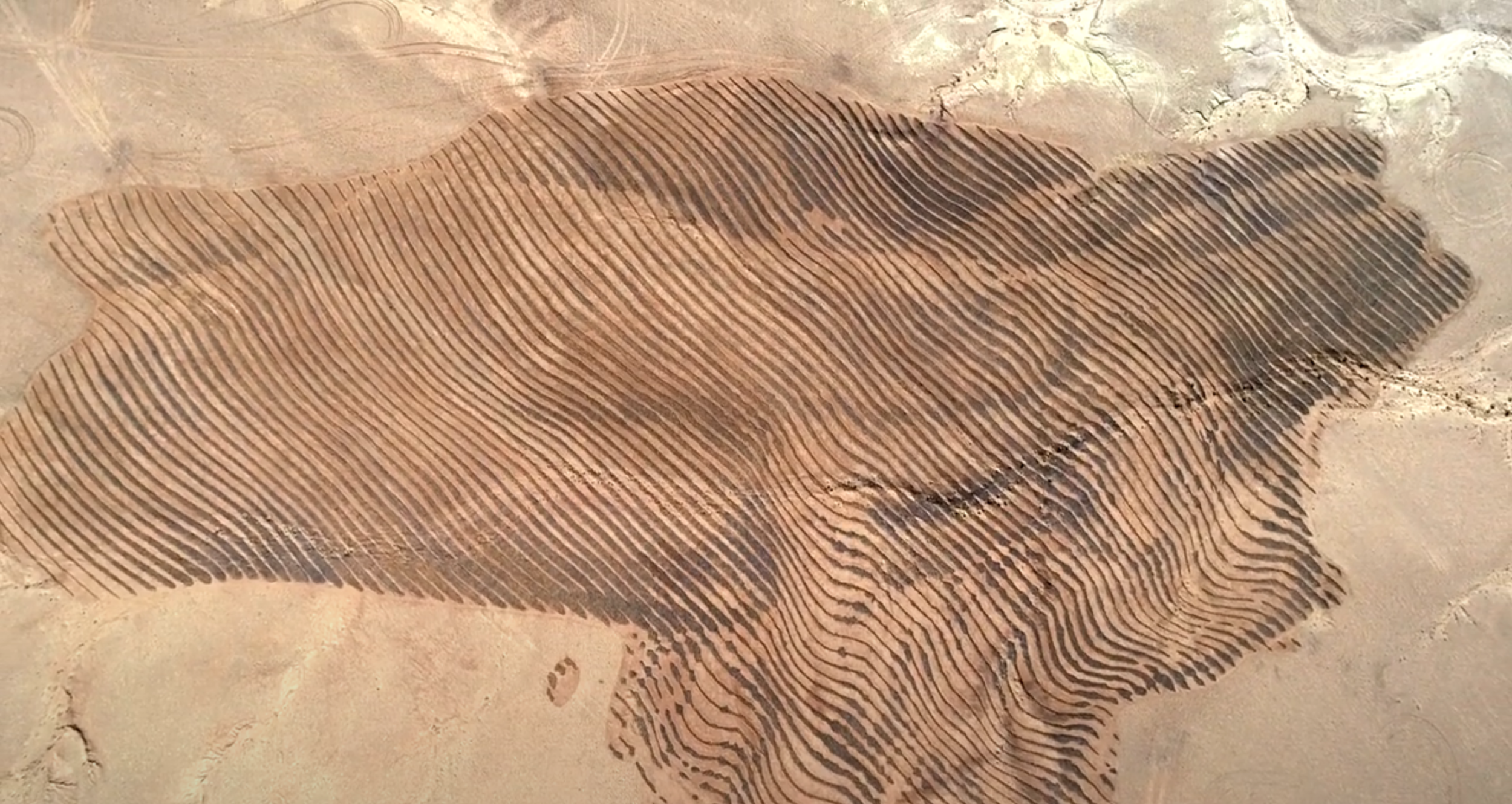 Terrestrial Land-Art (Socially Conscious Large-scale Art) — Jorge